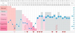 Método sintotermal de percepção da fertilidade: uma forma de observar, registrar e interpretar os sinais de fertilidade do corpo para saber os períodos fértil e infértil do ciclo menstrual.